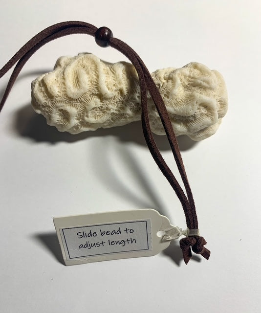 Crazy Lace Agate pendant