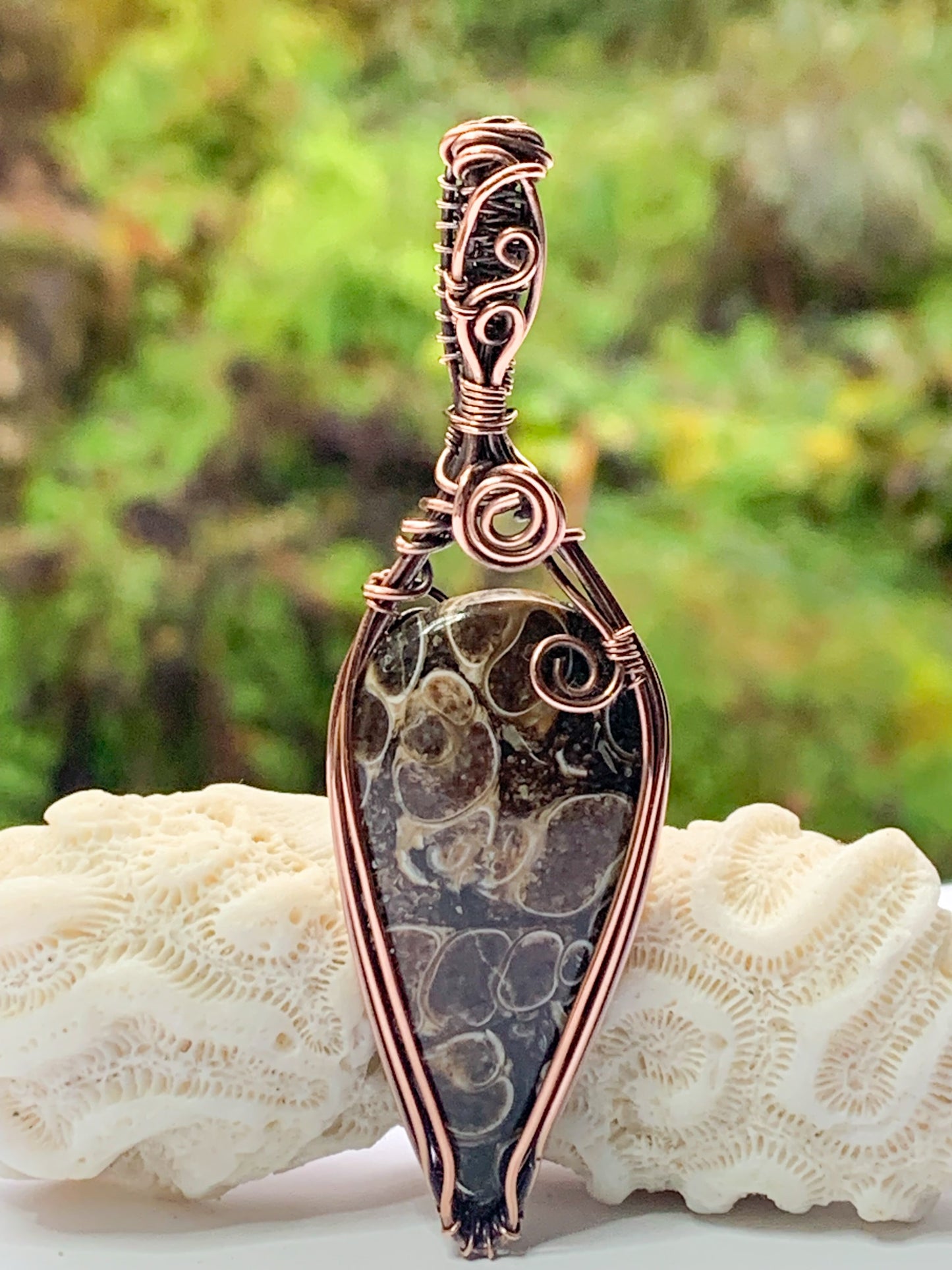 Turritella Agate pendant