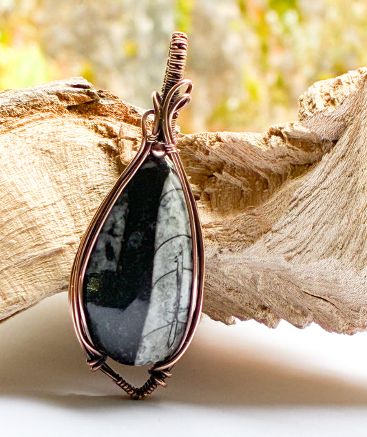 Orthoceras Fossil necklace