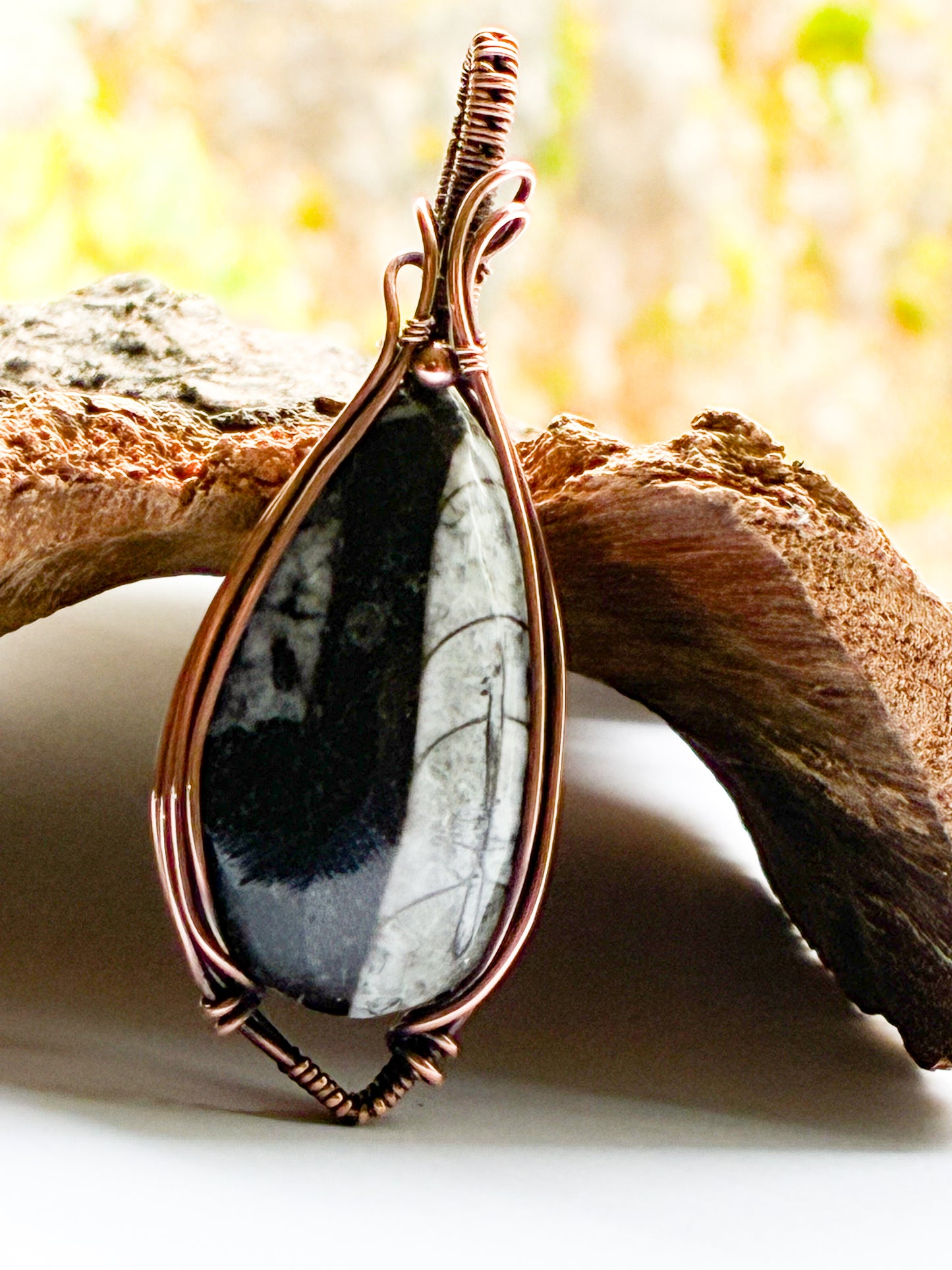 Orthoceras Fossil necklace