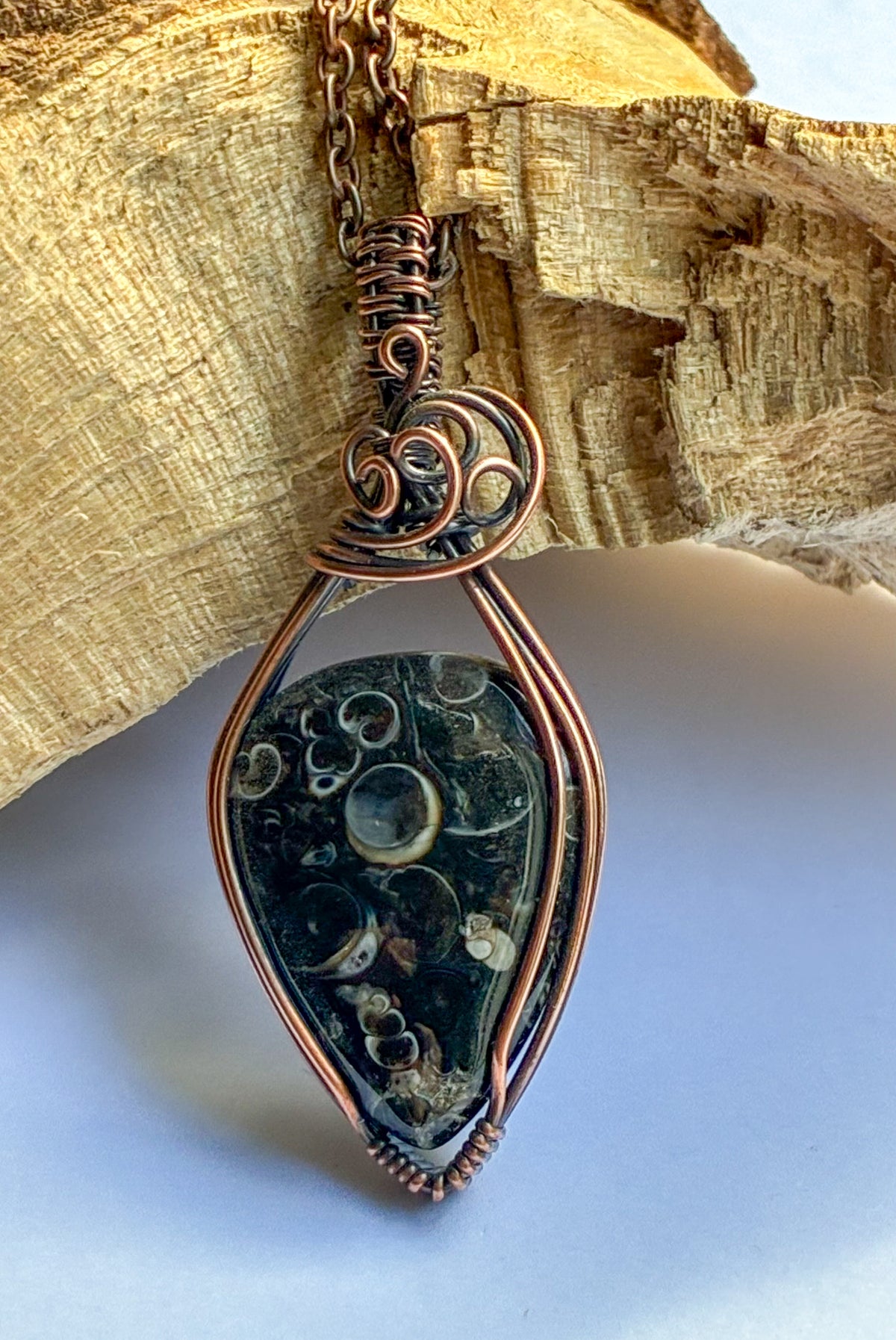 Turritella necklace