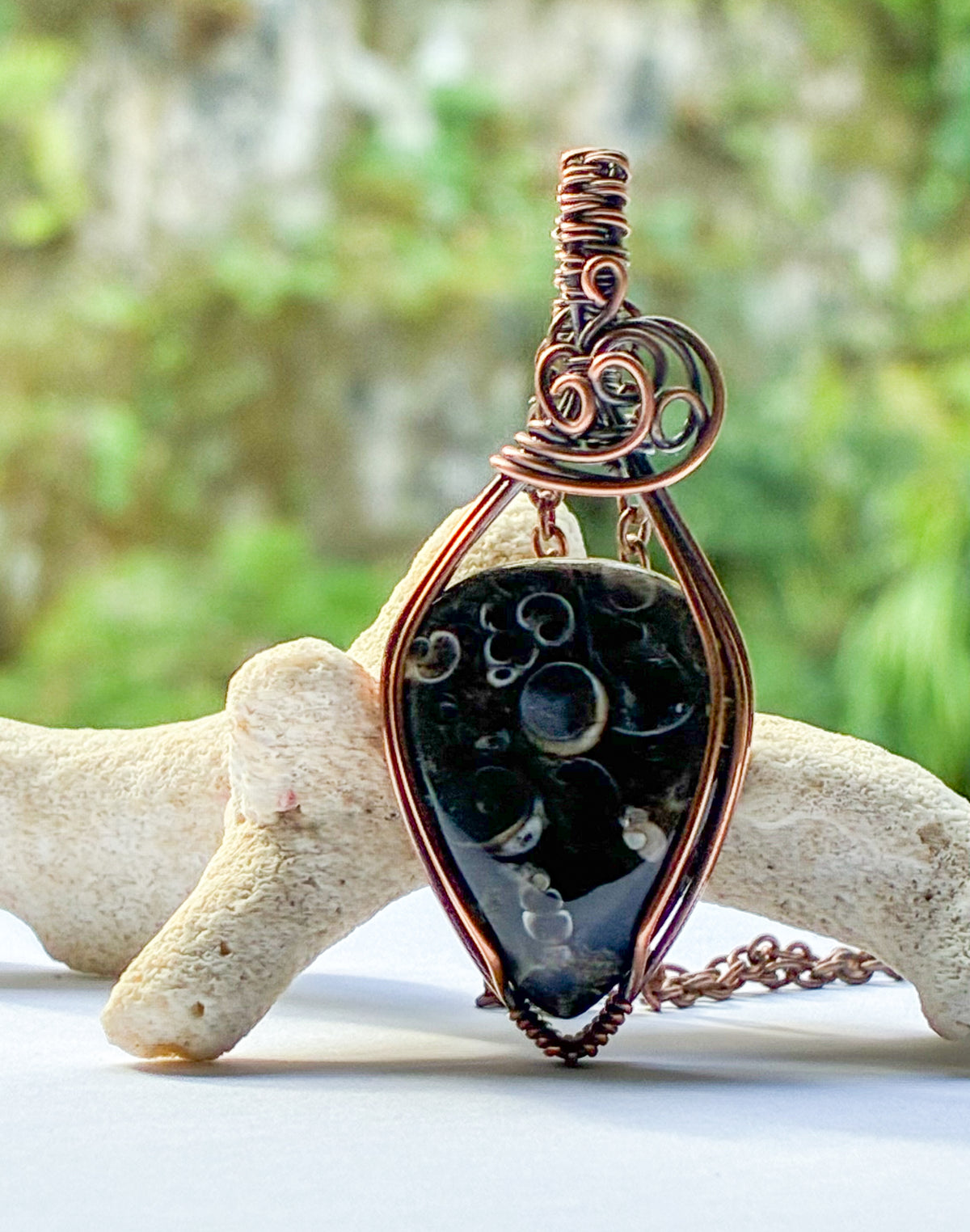 Turritella necklace