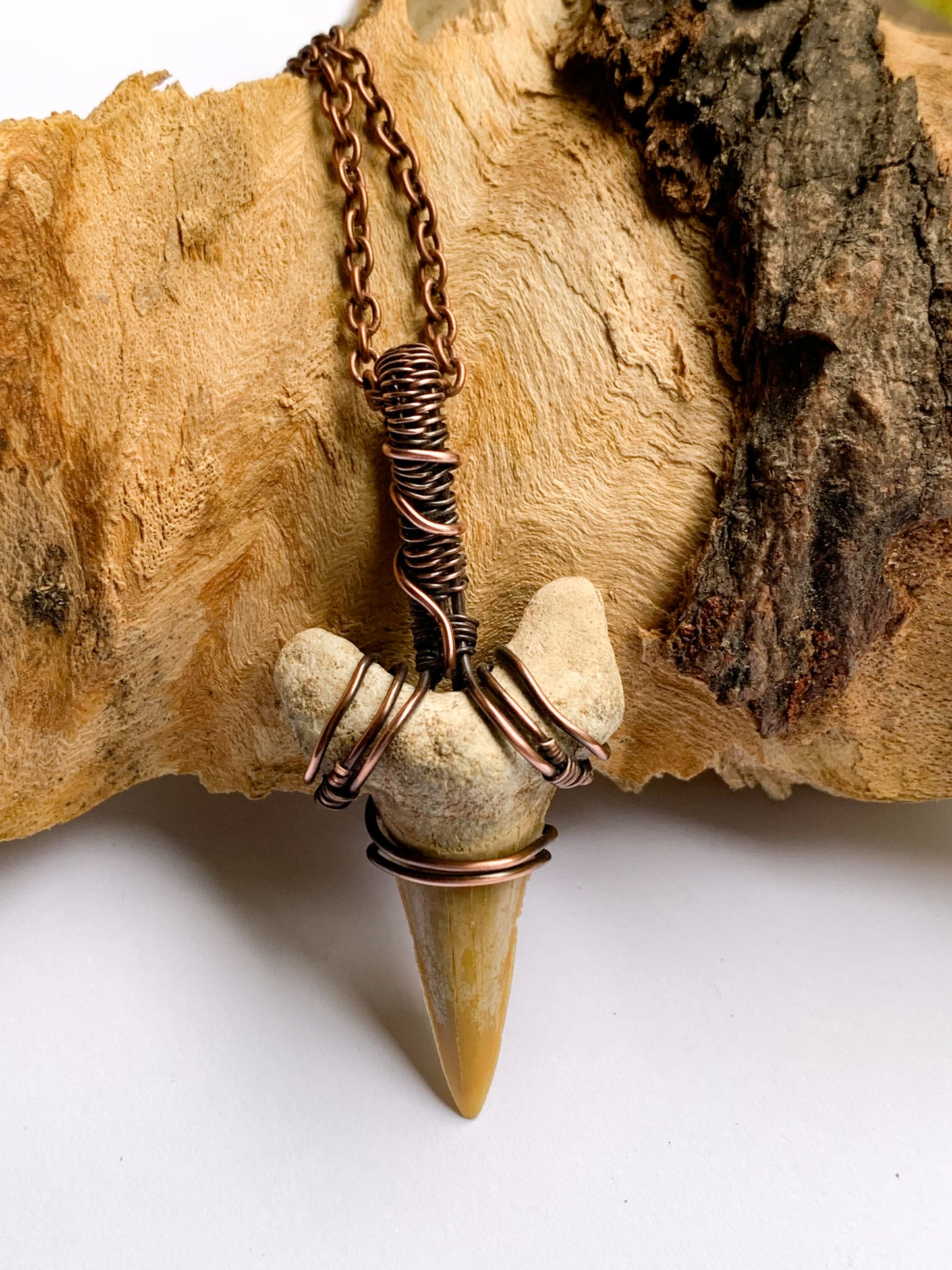 Shark Tooth necklace