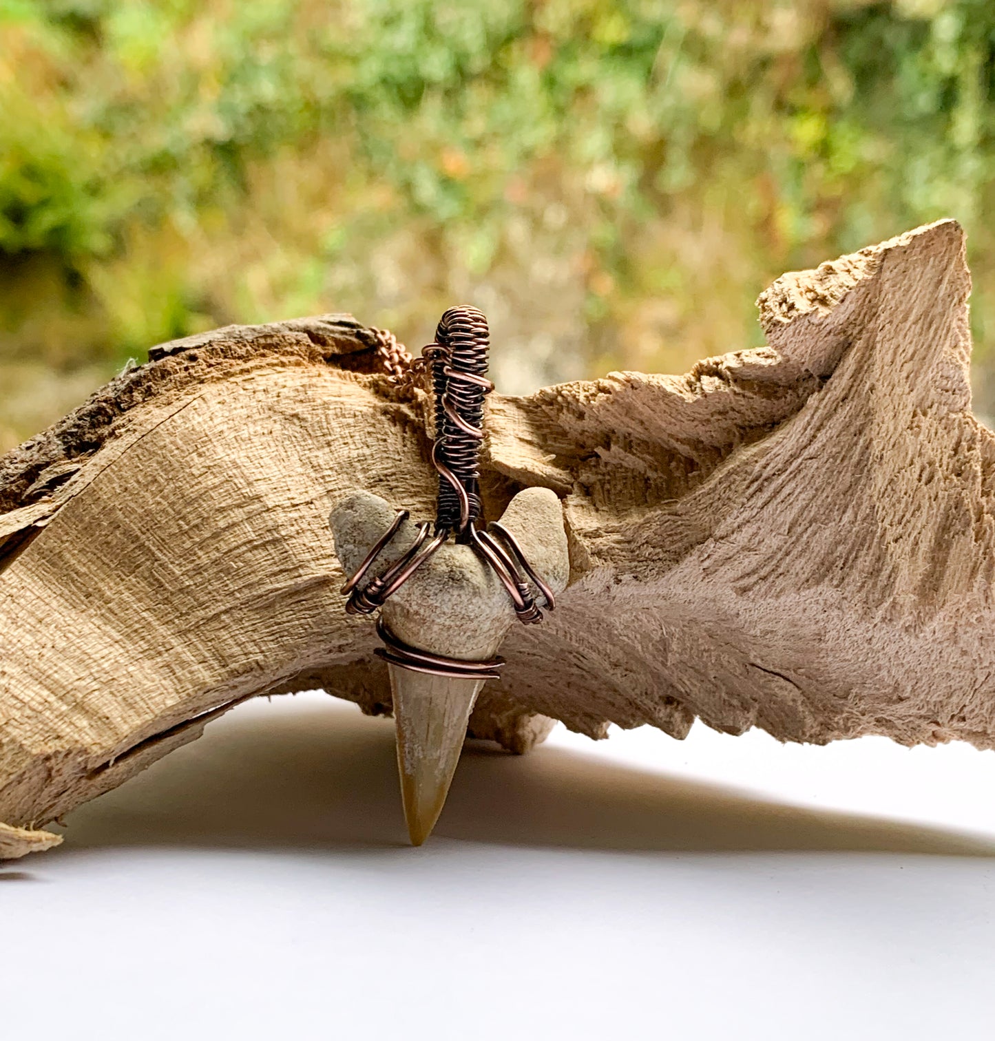 Shark Tooth necklace