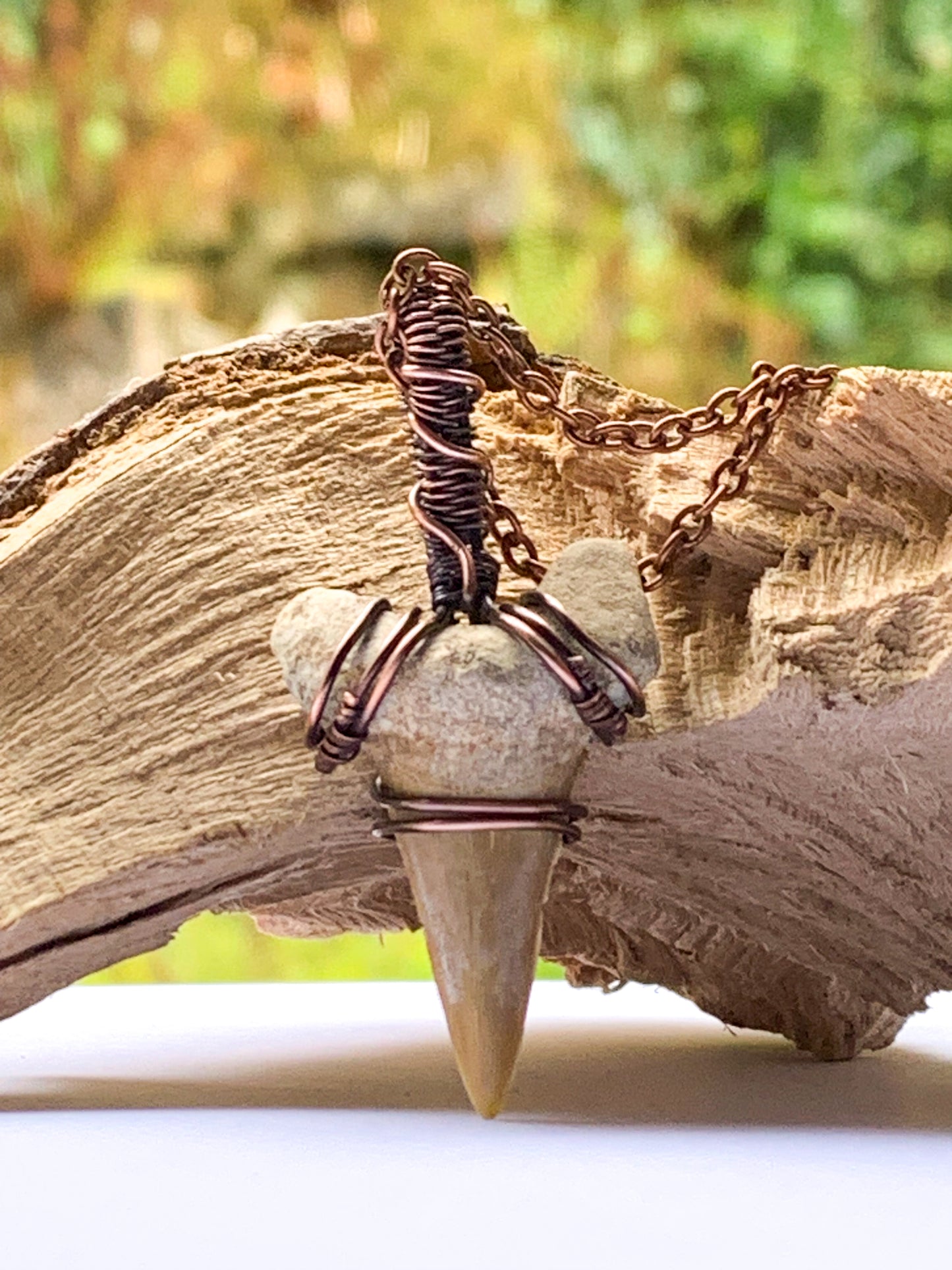 Shark Tooth necklace